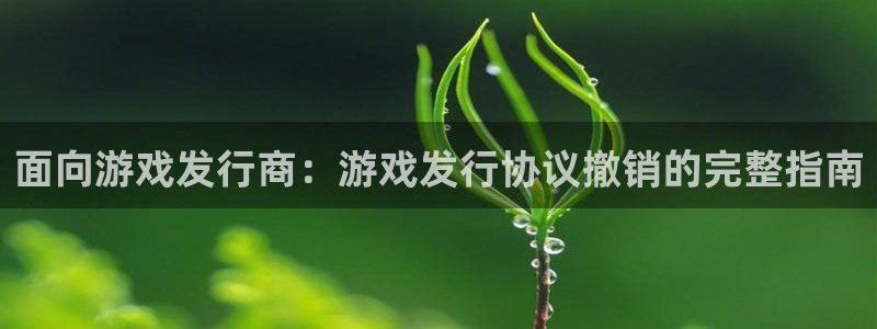 蓝狮在线客服