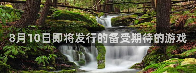 蓝狮品牌设计