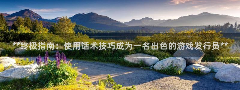 法国蓝狮lvnces是奢侈品吗：**终极指南：使用话术技巧成为一名出色的游戏发行员**