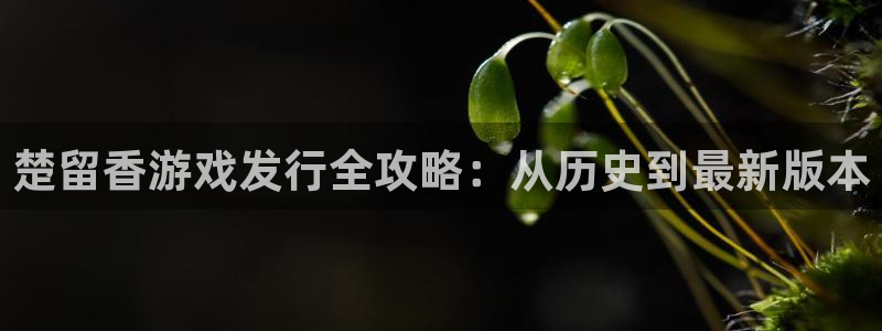 蓝狮在线注册方法有哪些