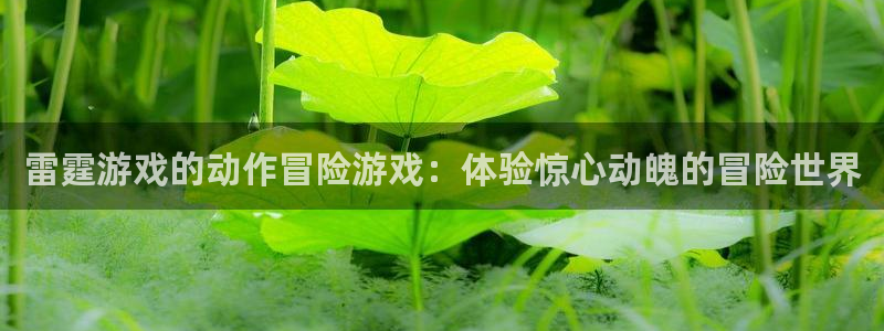 陕西蓝狮子文化创意骗局：雷霆游戏的动作冒险游戏：体验惊心动魄的冒险世界