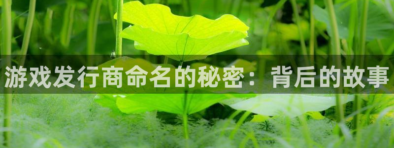 长沙蓝狮子电子商务有限公司：游戏发行商命名的秘密：背后的故事