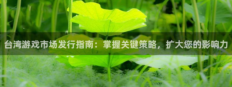 蓝狮环境科技有限公司：台湾游戏市场发行指南：掌握关键策略，扩大您的影响力
