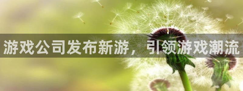 蓝狮集团公司怎么样