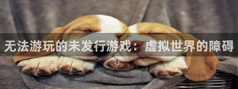 长沙蓝狮子电子商务有限公司：无法游玩的未发行游戏：虚拟世界的障碍