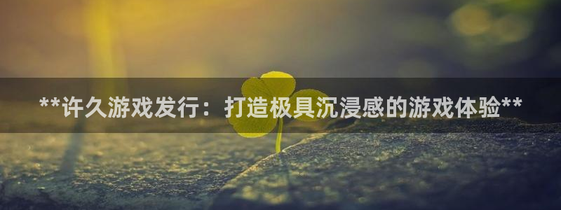 蓝狮子集团：**许久游戏发行：打造极具沉浸感的游戏体验**