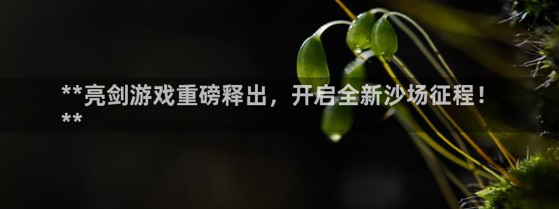 蓝狮在线注册平台官网登录：**亮剑游戏重磅释出，开启全新沙场征程！
**