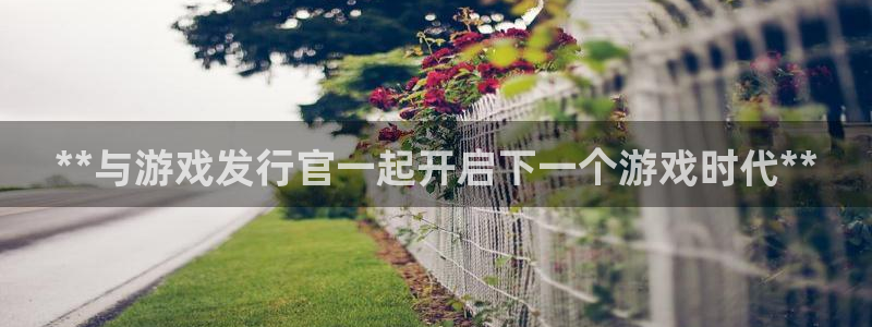 蓝狮子酒业：**与游戏发行官一起开启下一个游戏时代**