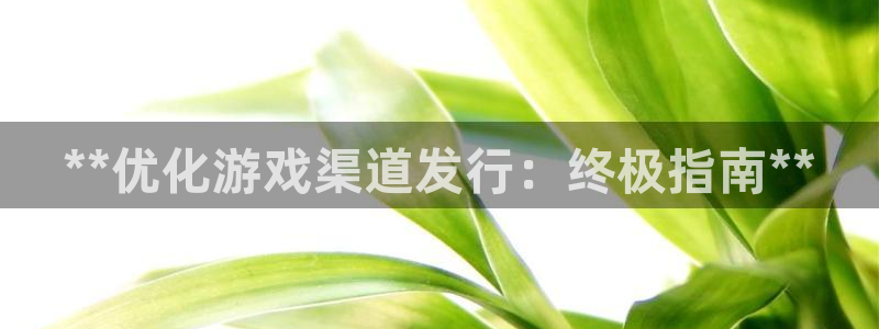 蓝狮商标：**优化游戏渠道发行：终极指南**