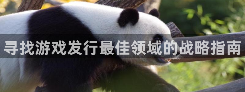 蓝狮子写作课：寻找游戏发行最佳领域的战略指南