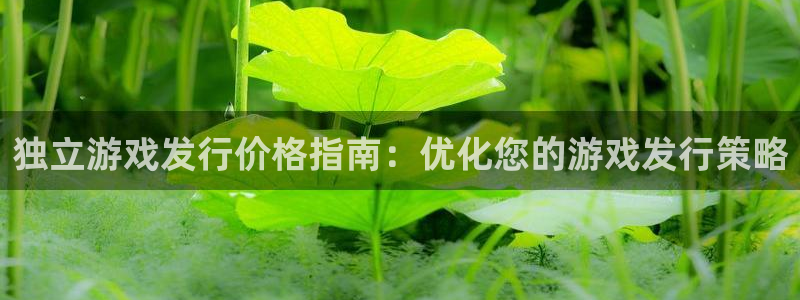 蓝狮子传媒集团ceo：独立游戏发行价格指南：优化您的游戏发行策略