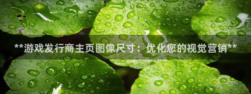 广州蓝狮电子商务