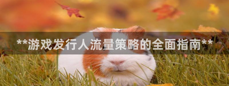陕西蓝狮子文化公司加我qq