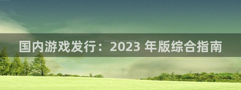 蓝狮在线登录注册不了怎么回事：国内游戏发行：2023 年版综合指南