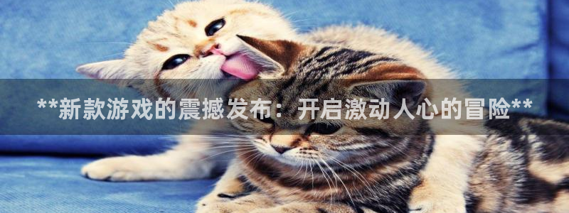 蓝狮在线分红