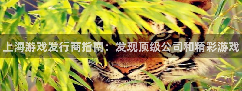 蓝狮子寓意