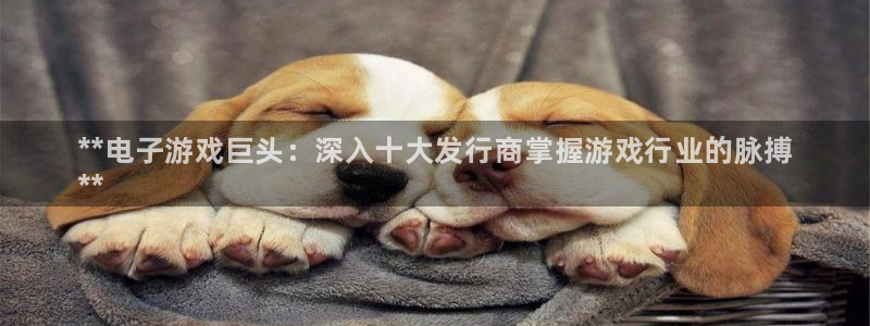 蓝狮在线注册平台怎么样：**电子游戏巨头：深入十大发行商掌握游戏行业的脉搏
**