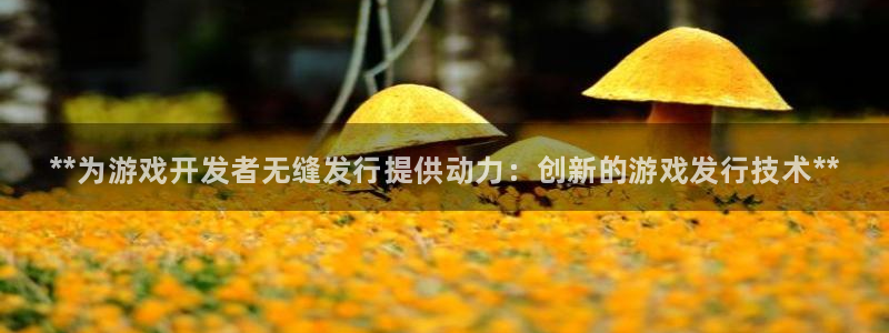 蓝狮图片：**为游戏开发者无缝发行提供动力：创新的游戏发行技术**