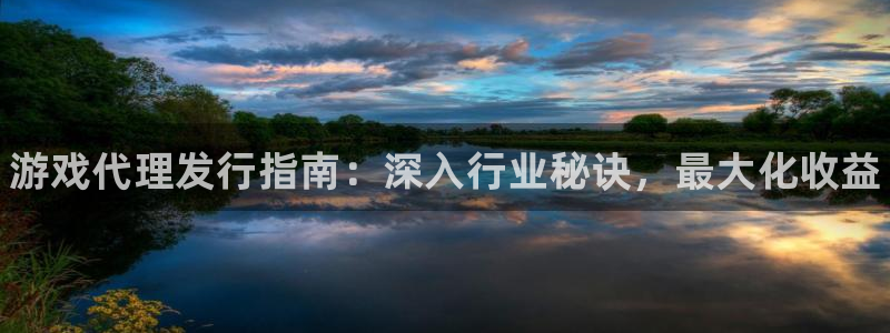 蓝狮酒庄：游戏代理发行指南：深入行业秘诀，最大化收益