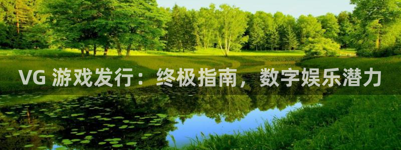 蓝狮子市值：VG 游戏发行：终极指南，数字娱乐潜力