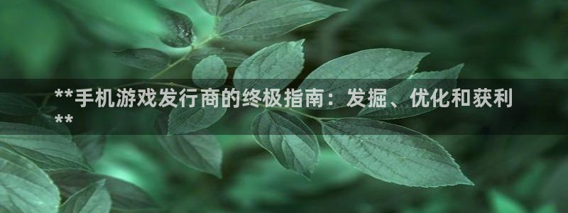 蓝狮电子商务有限公司怎么样