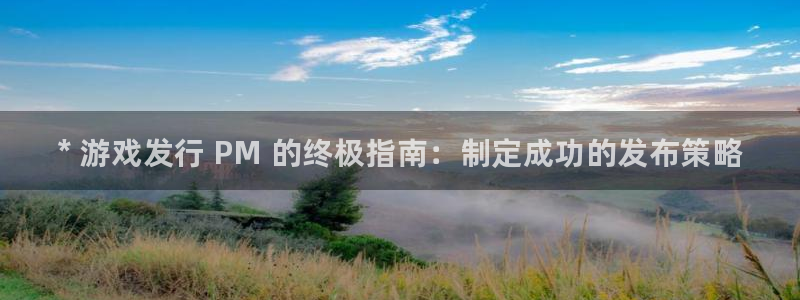 蓝狮在线注册平台怎么注册不了：* 游戏发行 PM 的终极指南：制定成功的发布策略