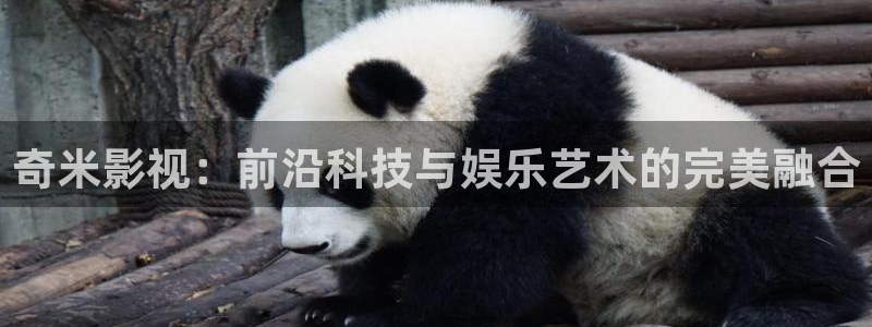 天龙影院远古影像在线看