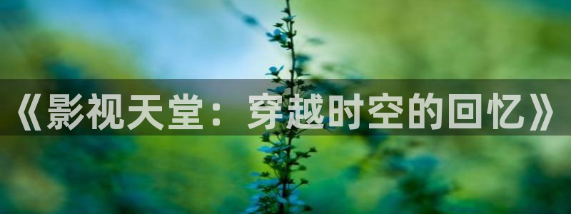 天龙影院tvb专区
