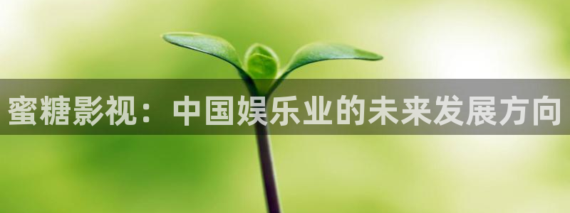 天龙影院电视剧在线观看
