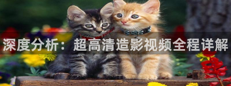天龙影院远