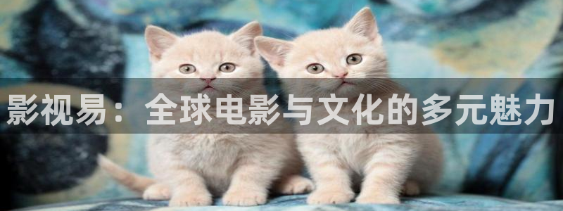 手机天龙影院