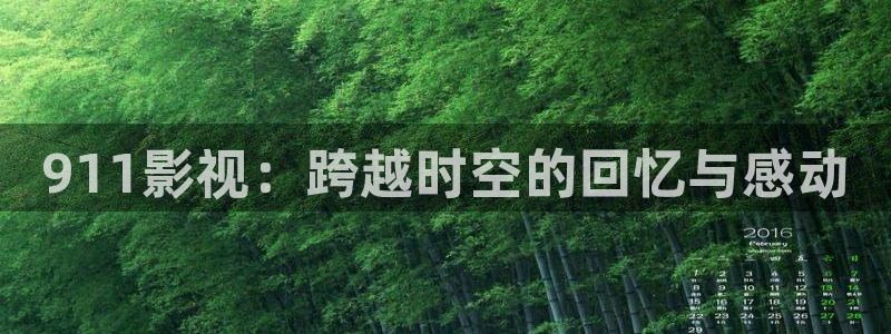 天龙影院电视剧在线看