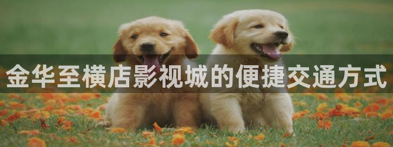 天龙影院电影