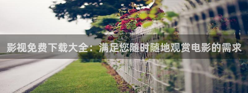 泽艺影城天龙